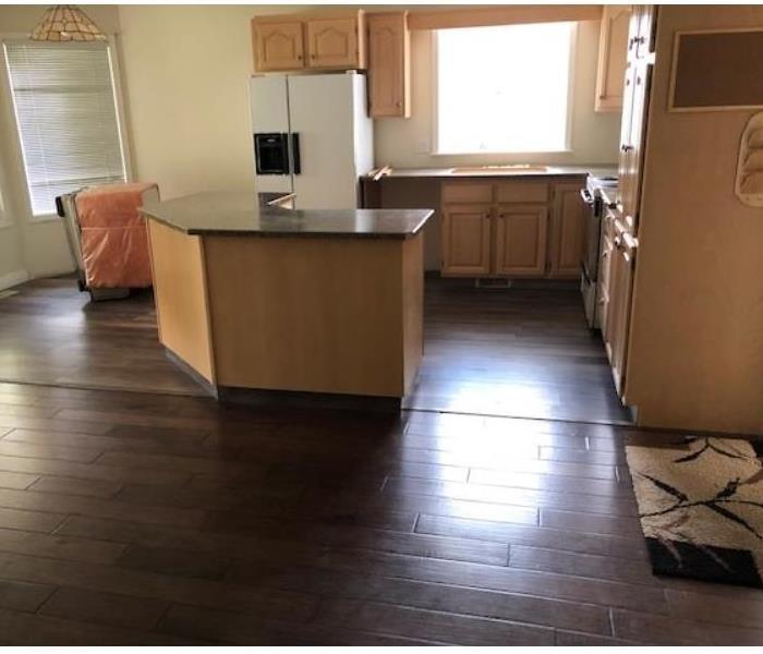 Kitchen coming back together after mold removal